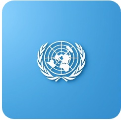 什么是联合国采购课程封面